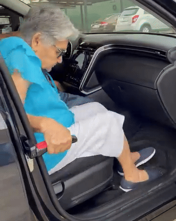 MobilityMate™ - 4in1 Car Cane
